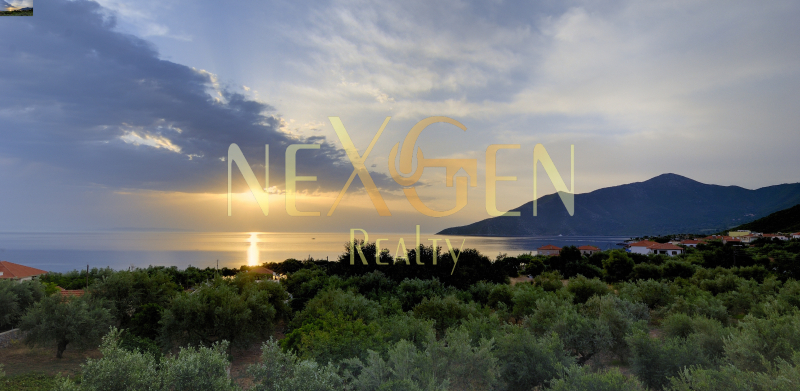 property-img